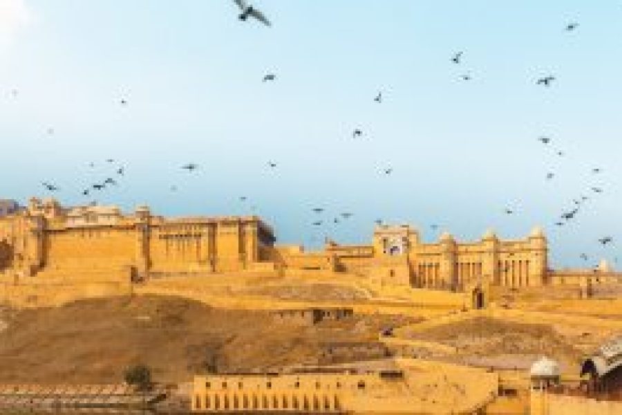 Trip to Rajasthan (4Days / 3Nights )